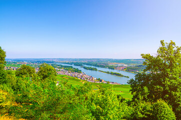 Aerial panoramic view of river Rhine Gorge or Upper Middle Rhine Valley winemaking region with vineyards fields near Rudesheim am Rhein town, green trees, Rhineland-Palatinate, Hesse states, Germany