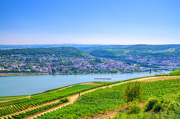 Fototapeta na wymiar Aerial panoramic view of river Rhine Gorge or Upper Middle Rhine Valley winemaking region with vineyards green fields, Bingen am Rhein town, blue sky, Rhineland-Palatinate, Hesse states, Germany