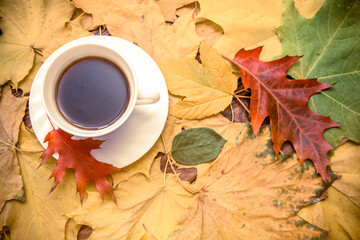 Autumn still life with cup of black coffee