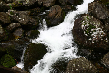 Naklejka na ściany i meble A flowing stream in the High Tatras