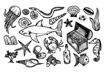 Set of cute hand drawn elements of marine theme including fish, shells and other sea dwellers. Hand drawn marine collection © Nataliia Machula