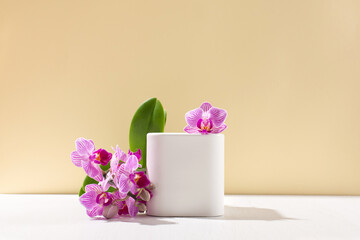 White empty box on light backdrop and pink flower phalaenopsis orchid with shadow.