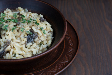 Closeup view of fungus risotto or Italian arborio rice dish cooked with broth, cepe mushrooms, thyme, white wine, olive oil and parmesan cheese on dark brown wooden background. Image with copy space