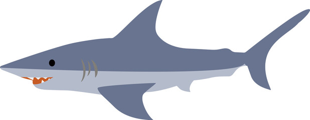 かわいくてシンプルなサメのイラスト