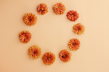 Obraz premium autumn composition of yellow flowers on a beige background, top view