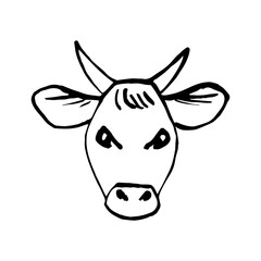Hand-drawn simple vector drawing in black outline. Bull head isolated on white background. For print, sticker, logo. Symbol of 2021. Farm animals.