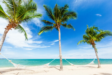 Hammocks hang between coconut palm tree in idyllic white sand beach in sunny bright day with clear and clean blue sky and cloud. Beautiful view of tropical seascape concept of calm and relaxing place