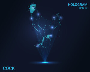 Cock hologram. Holographic projection of a rooster. A flickering energy stream of particles. Scientific rooster design. © newrossosh