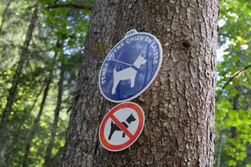 Panneaux sur un arbre indiquant en français interdit aux chiens sauf tenus en laisse