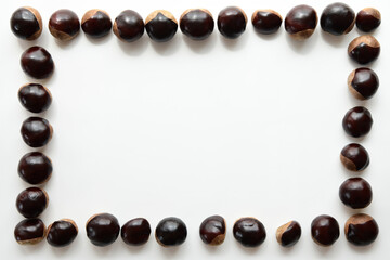 Chestnuts frame on white background.