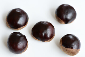 Chestnuts isolated on white background.