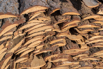 background of wooden boards, wood cuts, a pile of wooden boards