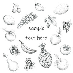 Fruits, berries. Set of hand-drawn food products. Vector illustration with place for text.
