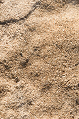 texture of sand