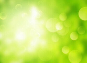 Fototapeta na wymiar Green natural gradient background, Abstract green blurred background with bright bokeh and sunlight.