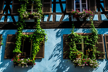 Fototapeta na wymiar Colorful facades and flowers in the village of Kaysersberg in Alsace, France