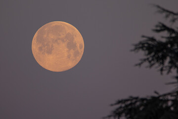 tramonto di luna piena