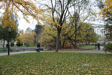 walk in the park