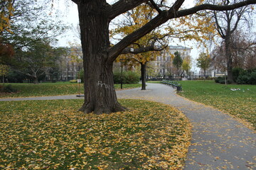 autumn in the park
