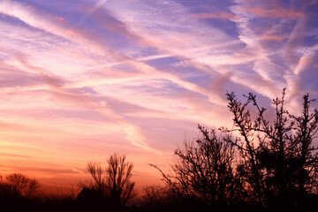 purple and orange sunset sky with  airplane trails crossing the sky and  silhouettes of trees