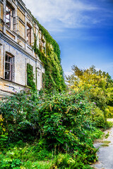 Fototapeta na wymiar A ruined building shrouded in shrubs and trees in the Botanical Garden. Kyiv. Ukraine