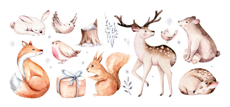 Watercolor winter forest animals deer with fawn, owl rabbits, bear birds on white background. Wild forest fox and squirrel animals set. Hand painted winter christmas card