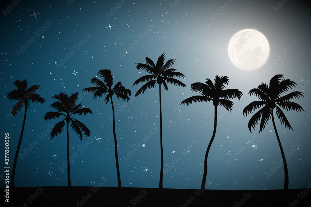 Canvas Prints landscape with palm trees on beach on moonlight night. blue mysterious background with full moon in 