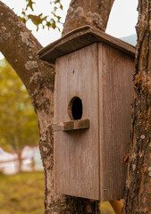 wooden bird house