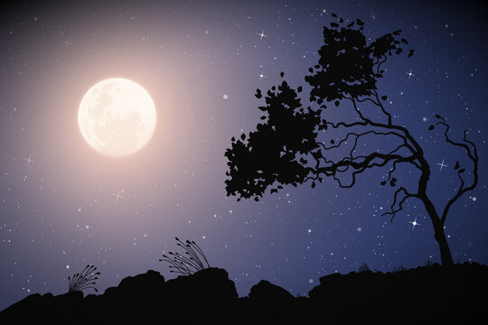 Landscape with lonely tree. Full moon in night starry sky