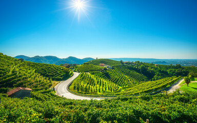 Vineyards and road. Prosecco Hills, Unesco Site. Valdobbiadene, Veneto, Italy
