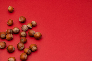 Hazelnuts on the left side on a red background. Nuts. Minimalistic composition. Background for text or design