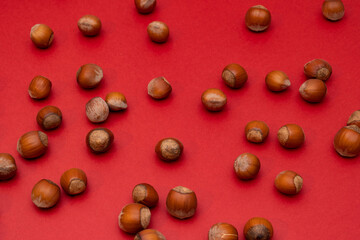 Hazelnuts on a red background. Nuts. Minimalistic composition. Background for text or design