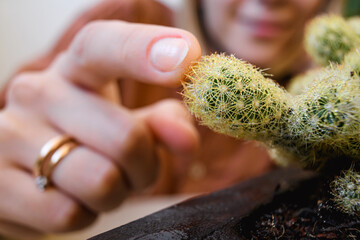 Woman touching small cactus in wooden flowerpot 