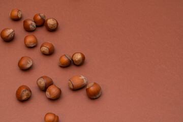 Hazelnuts on the left side on a brown background. Nuts. Minimalistic composition. Background for text or design