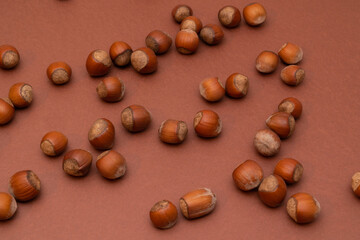 Hazelnuts on a brown background. Nuts. Minimalistic composition. Background for text or design