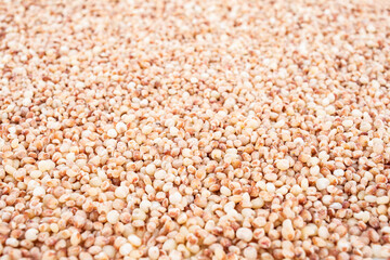 Full screen of grain, grain, sorghum, rice
