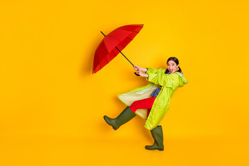 Full size photo of excited crazy girl hold catch air fly wind blow parasol wear blue dotted blouse gum shoes isolated over bright shine color background