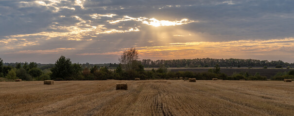 Landscape, beautiful sunset over a mown field of grain