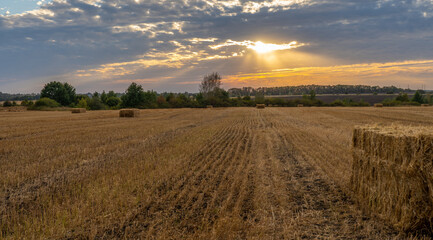 Landscape, beautiful sunset over a mown field of grain