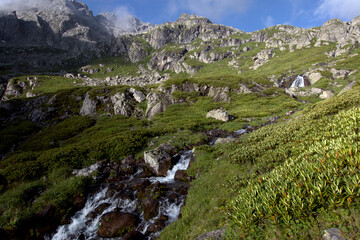 Fototapeta na wymiar Alpine stream among rocks overgrown with green bushes. Hanging valley of the Koshtansu river. Caucasus.