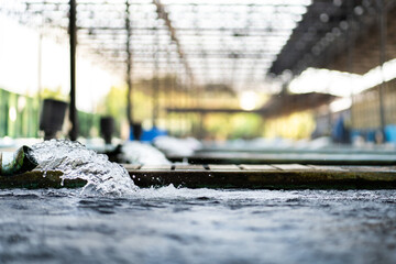 Water flow treatment system from the water pump pipe.Motion of water gushing out of the pipe from Koi Pond Carp fish farm for oxygen.Water was drain by tube pvc.Industrial wastewater treatment.