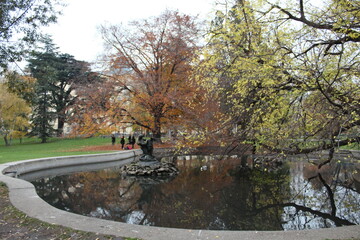 autumn in the park