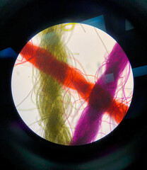 Colored threads under a light microscope.