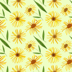 watercolor wildflowers seamless pattern