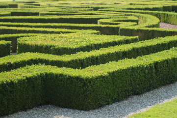 Im grünen Labyrinth - Schlosspark Nordkirchen