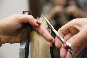 The hairdresser cuts the hair of a blonde woman.