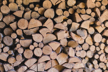 Firewood stacked in a barn.