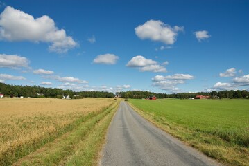 Fototapeta na wymiar Swedish landscapes in the summer
