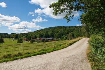 Fototapeta na wymiar Swedish landscapes in the summer