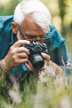 A pensioner who is keen on photography takes pictures of spring flowers in the forest. Active walk and hobby.